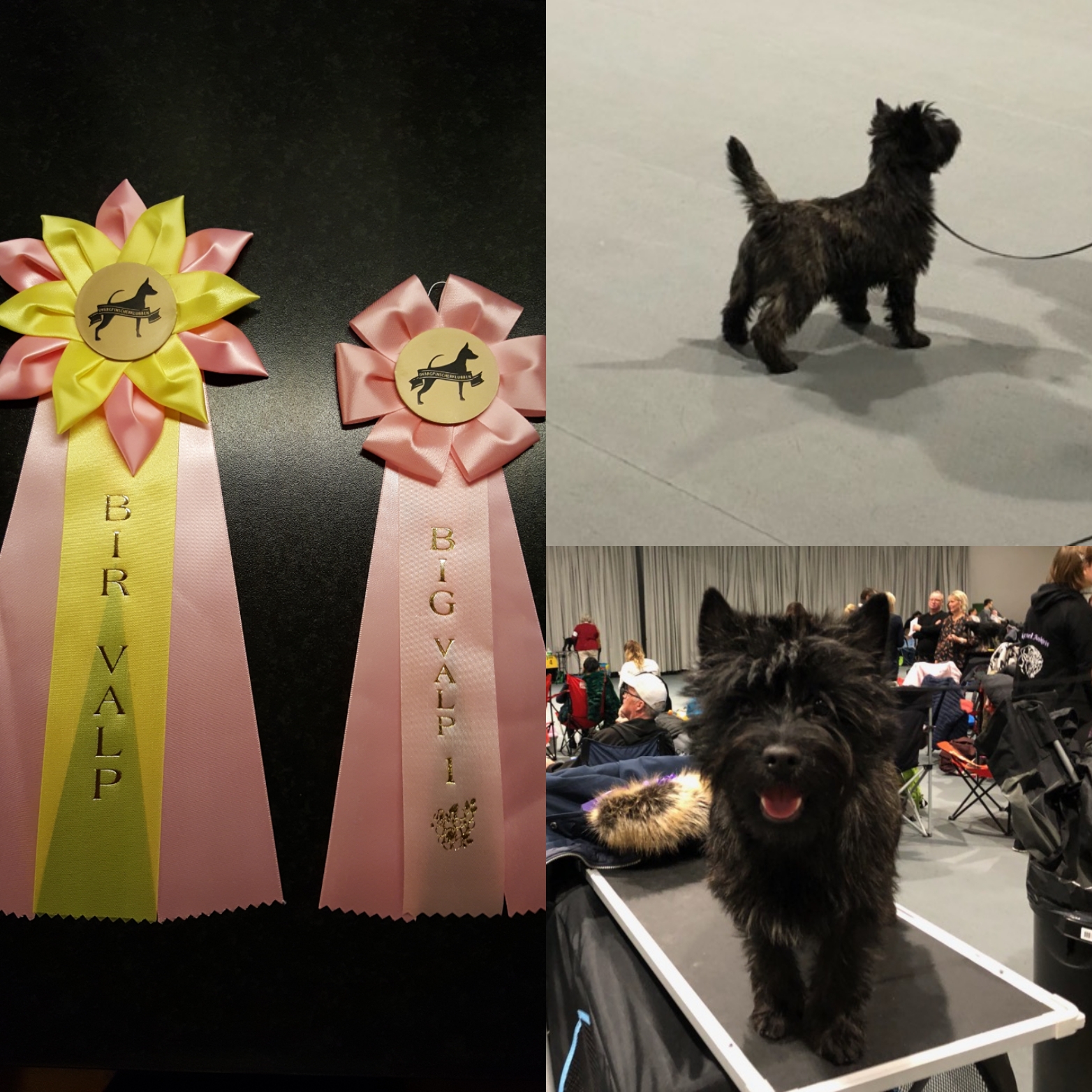 Camy BIG Upplands-Väsby