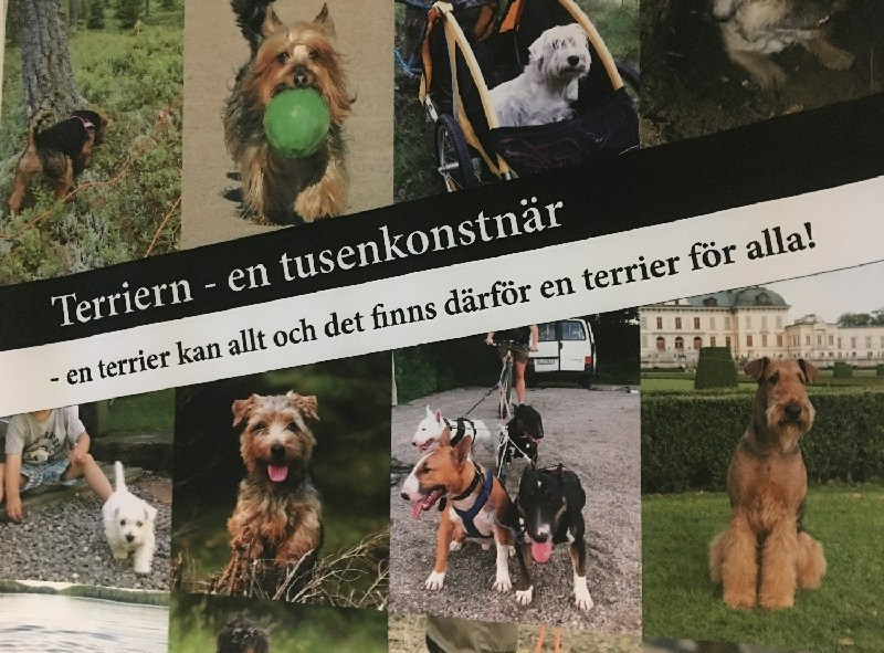 Terriern - en tusenkonstnär